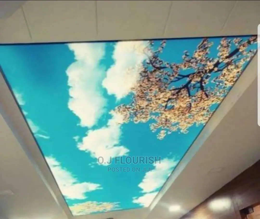 Sparkling 3D Stretch Ceiling