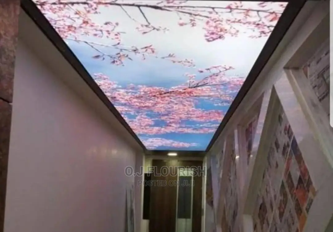 Sparkling 3D Stretch Ceiling