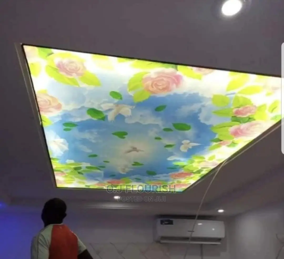 Sparkling 3D Stretch Ceiling