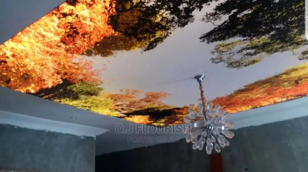 Stretch Ceiling