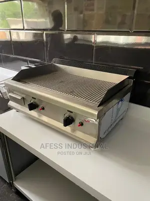 Electric Gas Grill .