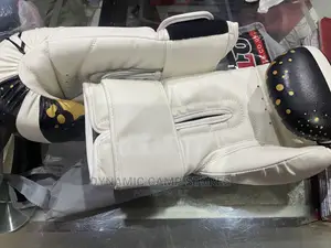 Velo Professional Boxing Glove