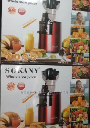 Sokany Whole Slow Juicer 250W