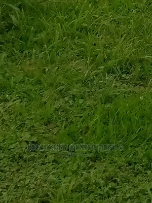 Plots of Land for Sale a Well Located Area of Old Ikoyi.