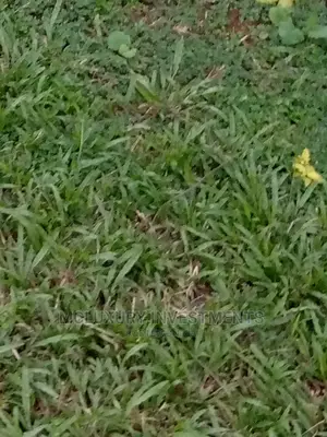 Plots of Land for Sale at Bank Road. Old Ikoyi
