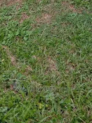 A Vacant Land Ready for Building at Turnbull,Old Ikoyi.