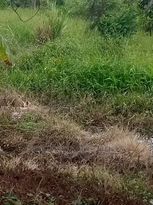 Plots of Land for Sale at Mojisola Onikoyi. Old Ikoyi.