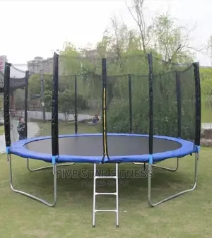 12ft Trampoline With Ladder