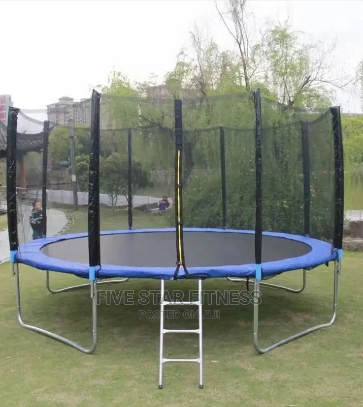 12ft Trampoline With Ladder