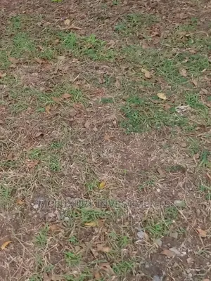 Vacant and Well Located Plots of Land for Sale at Ikoyi.