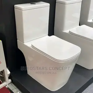 Modern Day and Executive Water Closet
