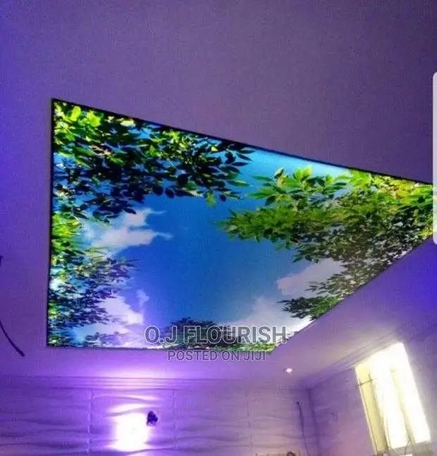 Sparkling 3D Stretch Ceiling