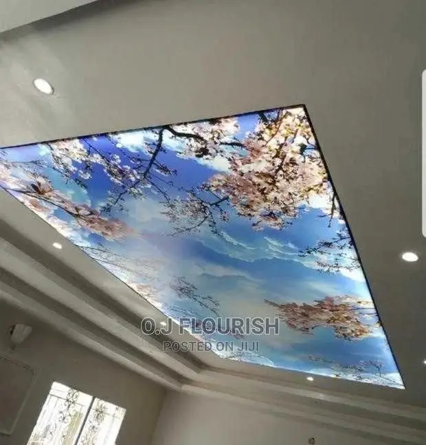 Sparkling 3D Stretch Ceiling