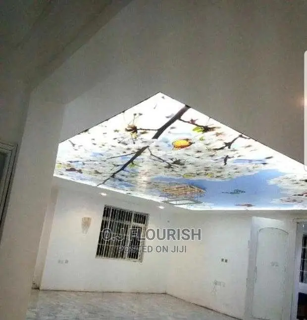 Sparkling 3D Stretch Ceiling