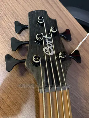 Quality Cort B5 Element Active Five String Bass Guitar