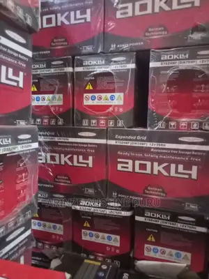 Photo - 17 Plates Aokly Car Battery