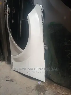 Fender C 300 2014 2011 Model