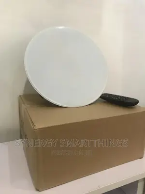 8 Inch Ceiling Speaker