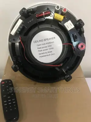 8 Inch Ceiling Speaker