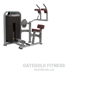 DFT1695 Abdominal Crunch Back Extension Machine