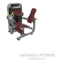 DFT1692 Leg Curl Leg Extension
