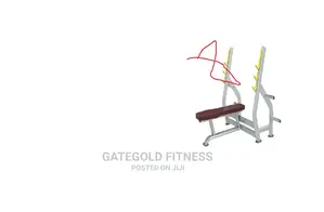 KJ1251 Olympic Flat Bench