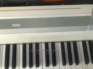 Korg Sp170 Professional Electric Piano.