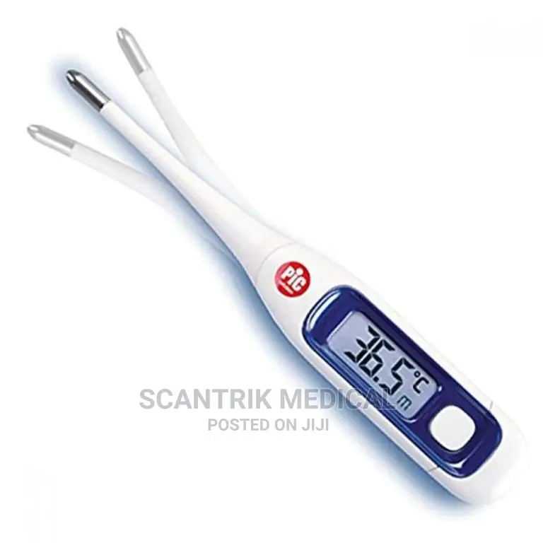 Portable Digital Thermometer