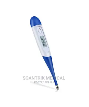Body Digital Thermometer Reading Pen