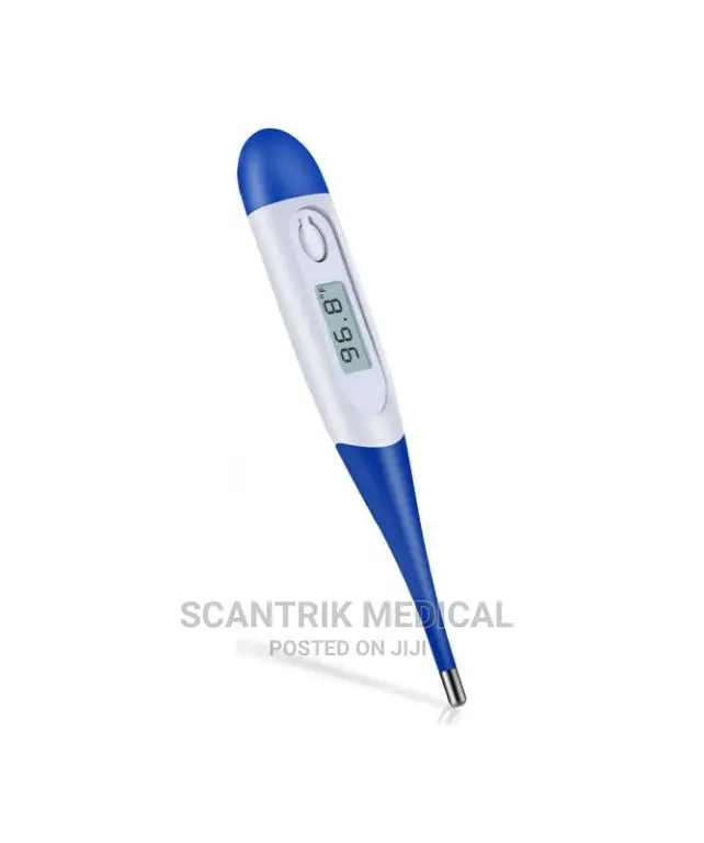 Body Digital Thermometer Reading Pen