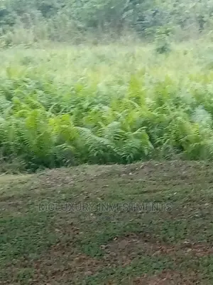 Plots of Land for Sale at Banana Island