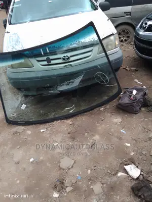 Seinna 2000 Model Windscreen Lfw