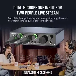 Portable 2 Input Sound Card