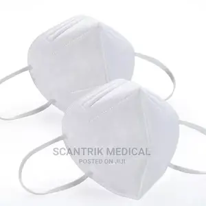 Portable Safety KN95 Face Mask Dust Proof Mask for Bacteria