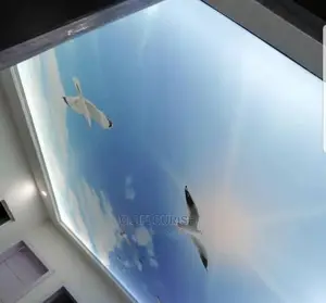 3D Stretch Fabric Ceiling