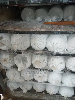 Ice Blocks Machine