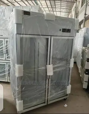 Double Door Stainless Body Industrial Freezer