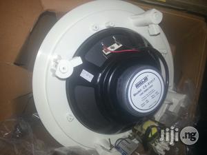 Celling Speakers