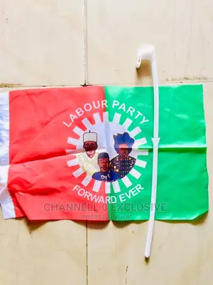 Political Car Flags