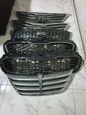 Vehicle Latest Model Front Grilles