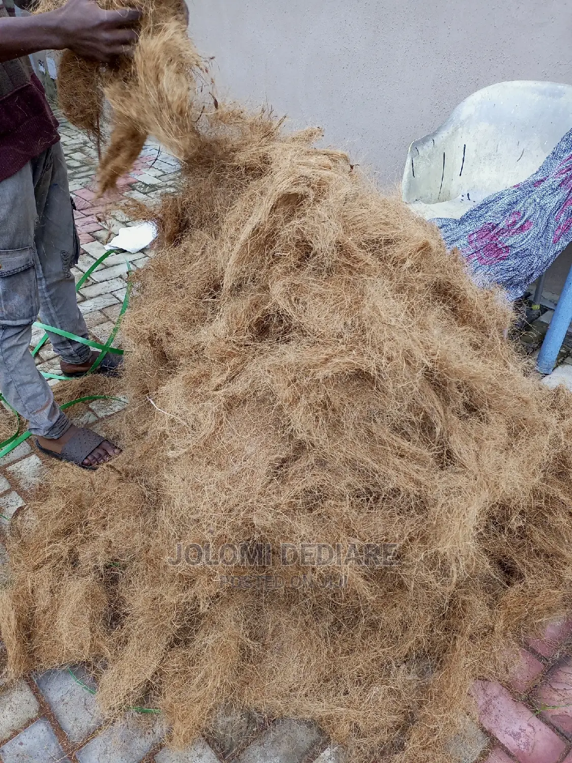 Treated Coconut Fiber for Bio Digester