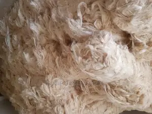 Kenya Fillers / Sponge