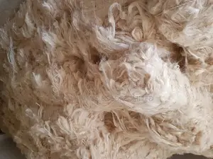 Kenya Fillers / Sponge
