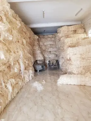 Kenya Fillers / Sponge