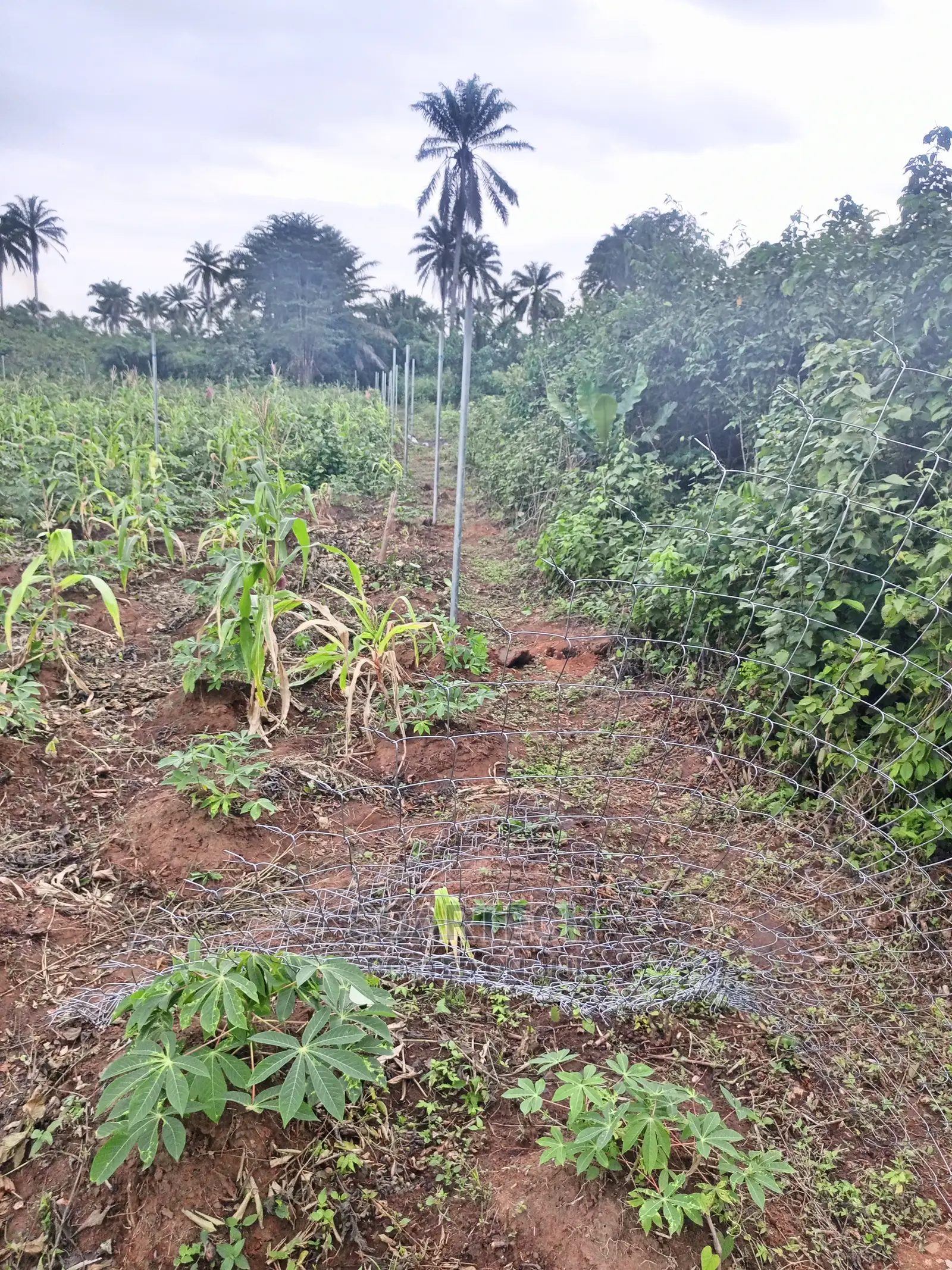 Farmland Fencing