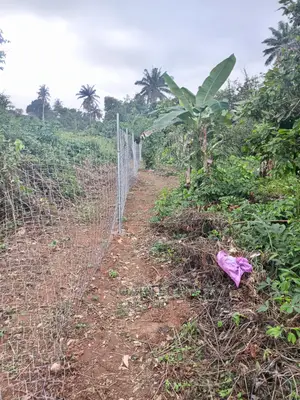 Farmland Fencing