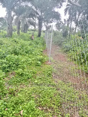 Farmland Fencing