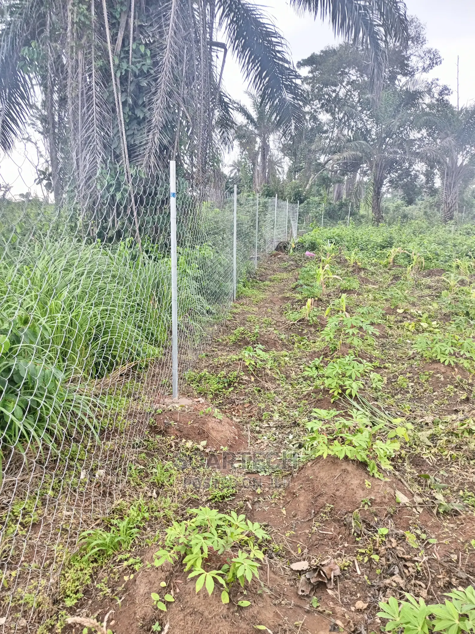 Farmland Fencing