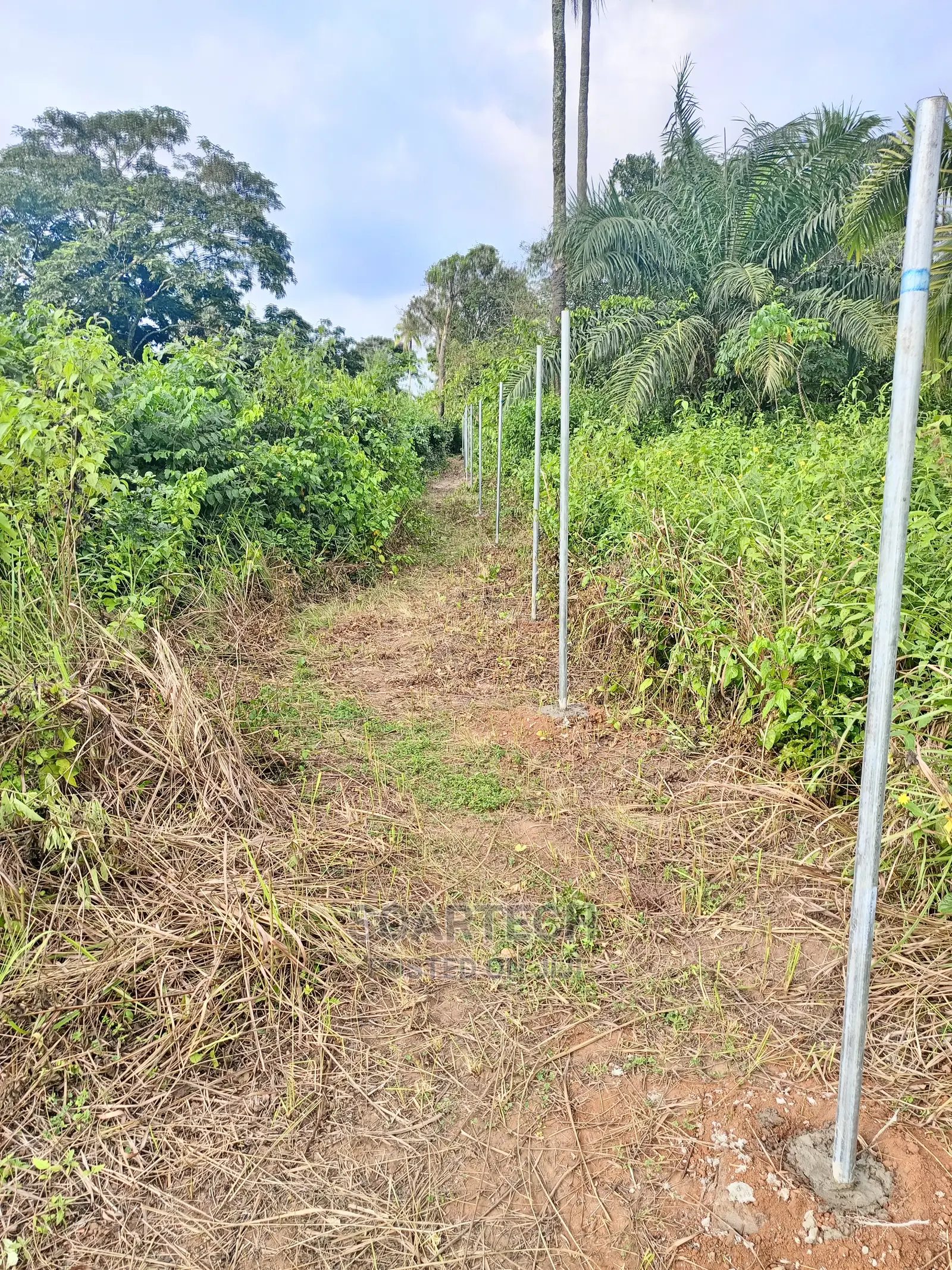 Farmland Fencing