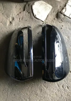 SIDE MIRROR CASING C300 205 2015 Year Model
